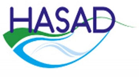 Hasad - Bacha - Consulting - Image 1
